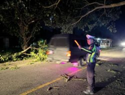 Bersama Masyarakat,Satlantas Polres Pidie Jaya Lakukan Evakuasi Pohon Tumbang