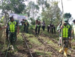 Dandim 0119/BM, Apresiasi Jajaran Koramil Melaksanakan Program I’M Jagung Tahap II