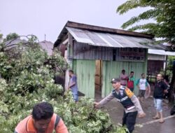 Evakuasi Pohon Tumbang oleh Personil Polsek Bandar Baru Polres Pidie Jaya