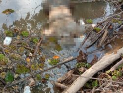 Seorang Pria 65 Tahun warga Sikabau Di Temukan meninggal di Dalam Parit