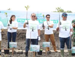 Jaga Garis Ekosistem Pesisir Berkelanjutan, PELINDO Multi Terminal Tanam 8000 bibit Mangrove