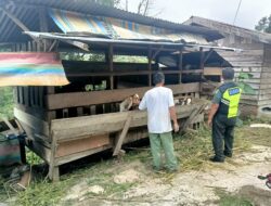 Pererat Silaturrahmi, Babinsa Melaksanakan Komsos dengan Peternak Kambing