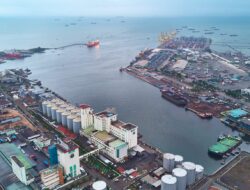 *PELINDO Multi Terminal Transformasi Branch Tanjung Emas Melalui Implementasi PTOS-M*