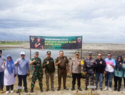 Peduli Lingkungan Pemda Pasbar bersama TNI POLRI Tanam Bibit Mangrove 340 Batang
