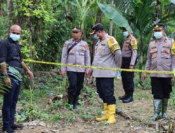 Kapolres Pidie Jaya Tinjau TKP Kematian Gajah di Gampong Panten Limeng, Bandar Baru