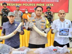 *Konferensi Pers Polres Pidie Jaya: Ungkap Kasus Kematian Gajah dan Pelanggaran Konservasi Lingkungan*