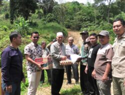 Tinjau Jembatan Putus Rura Patontang, Bupati Hamsuardi Desak Pengerjaan Jembatan Permanen Secepat Mungkin