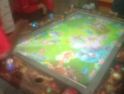 Lapor Pak Kapolres ,Tangkap Dan Tutup Judi Tembak Ikan Yang Kebal Hukum di Jalan Bunga Belawan.