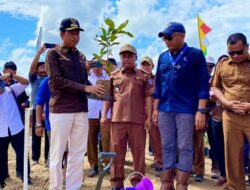 Hijaukan DAS Batang Sikabau: Wabup Risnawanto dan PT Bakrie Pasaman Plantations Bergerak Bersama