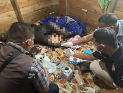 Penemuan Mayat di Bener Meriah: Safrizal Ditemukan Tak Bernyawa di Dalam Kamar