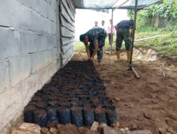 Kodim 0119/Bener Meriah Siapkan Demplot Pertanian