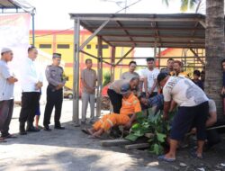 Aksi Peduli Polres Pelabuhan Belawan, Laksanakan Penyembelihan Hewan Qurban di Hari Raya Idul Adha 1445 H/ 2024 M.