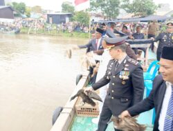 Kapolres Pidie Jaya dan Forkopimda Rayakan HUT RI ke-79 dengan Lomba Dayung dan Tangkap Bebek yang Meriah di Krueng Meureudu