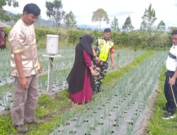 Sambangi Petani, Upaya Babinsa Mewujudkan Swasembada Pangan