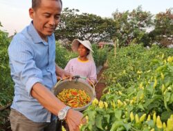 Ketua Umum Relawan ASPRAGI, Ramses Sitorus Akan Berusaha Kerjasama dengan Pemerintah Pusat & Daerah dalam Program Ketahanan Pangan untuk Mendukung Makan Bergizi