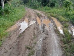 Wakil Rakyat Jangan Tidur, Lihat Kondisi Jalan Perkebunan Di Kecamatan Mesidah