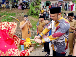 Bupati Sijunjung, Benny Dwifa Yuswir, S.STP, M.Si Sutan Gumilang hadiri acara Bakawua Adat di Jorong Tigo Korong, Nagari Lubuak Torok, Kecamatan Lubuak Tarok pada Senin 23 Desember 2024.