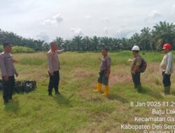 Penanaman jagung serentak di 8,016 Hektar lahan,Siap Di Gelar Polresta Deli Serdang.