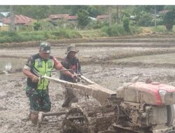 Siapkan Lahan Pertanian, Babinsa Dampingi Petani Garap Sawah