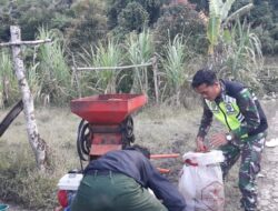 Tingkatkan Perekonomian Masyarakat, Babinsa Bantu Warga Giling Kopi