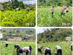 Dukung Asta Cita Presiden, Polres Aceh Tengah Rutin Sambangi Masyarakat Cek Lahan Ketahanan Pangan