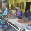 Babinsa Koramil 03/Pegasing Dampingi Warga Binaan Proses Penyortiran Kopi