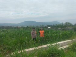 Semangat Kepedulian Polisi Cinta Petani, Polres Bener Meriah Dukung Ketahanan Pangan Nasional