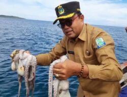 Kadis DKP Simeulue Perkuat Peran Penyulu Untuk Tingkatkan Produktivitas Nelayan