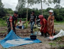 Perkuat Silaturahmi, Babinsa Koramil 03/TG, Sambangi Petani Di Lahan Perkebunan
