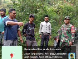 Babinsa Koramil 03/Pegasing Komsos Di Kebun Bersama Masyarakat Desa Pucuk Deku