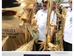 Panen Perdana Nusakambangan, Guna Membangun Lumbung Ketahanan Pangan Dan Beri Kesempatan Warga Binaan.