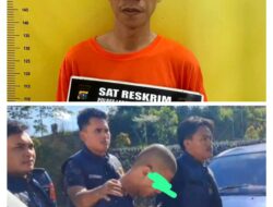 Polres Labusel Ungkap Kasus Pria Beristri Cabuli Tiga Gadis di Bawah Umur, Satu Korban Hamil
