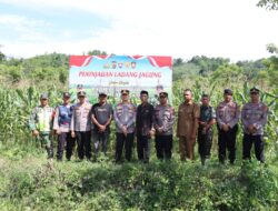 Sinergi Wujudkan Ketahanan Pangan, Kapolres Pidie Jaya Tinjau Langsung Ladang Jagung di Bandar Baru