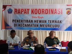 Tindak Lanjut Jumat Curhat, Muspika Meureudu Pidie Jaya Sepakat Tertibkan Hewan Ternak Berkeliaran