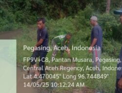 Bhakti Sosial, Babinsa Koramil 03/Pegasing Bantu Warga di Desa Pantan Musara