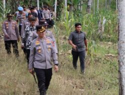 Kapolres Pidie Jaya Panen Raya Jagung: Dukung Ketahanan Pangan Nasional Lewat Asta Cita Presiden RI