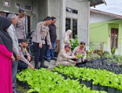 Kapolres Aceh Tengah Tinjau Lahan Produktif dan P2B Dukung Ketahanan Pangan