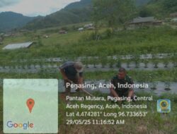 Wujud Kepedulian Babinsa Melaksanakan Han Pangan Bersama Masyarakat Desa Lelumu