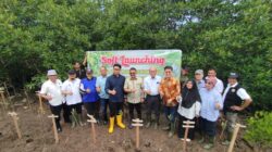 Wakil Wali Kota Langsa M.Haikal Melakukan Penanaman Hutan Mangrove