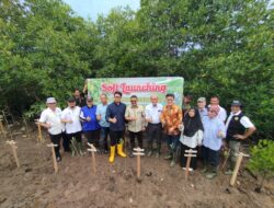 Wakil Wali Kota Langsa M.Haikal Melakukan Penanaman Hutan Mangrove