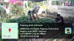 Pastikan Bibit kopi Tumbuh Sehat, Babinsa Melaksanakan Han Pangan Bersama Masyarakat Desa Arul Badak