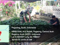 Pastikan Bibit kopi Tumbuh Sehat, Babinsa Melaksanakan Han Pangan Bersama Masyarakat Desa Arul Badak