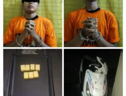 Satresnarkoba Polres Binjai, Tangkap 2 Pria Bandar Narkoba