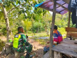 Melalui Komsos, Babinsa Berupaya Wujudkan Kemandirian Pangan Di Wilayah Binaan