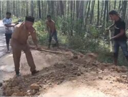 Kepala Desa Umang Bergotong Royong Timbun Jalan Rusak