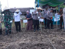 Polres Bener Meriah Dukung Swasembada Pangan Melalui Penanaman Jagung Serentak