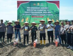 Polres Langsa Tanam Jagung Serentak Kuartal III Dukung Swasembada Pangan Nasional