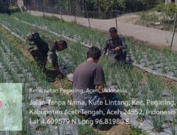 Ketahanan Pangan, Babinsa Bantu Bersihkan Rumput di Lahan Bawang di desa Kute Lintang