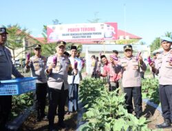 Kapolres Pidie Jaya Panen Terong di Lahan Polres, Dorong Ketahanan Pangan Lokal 2025