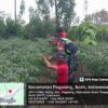 Ketahanan Pangan, Babinsa Melaksan Komsos di Desa Uning
